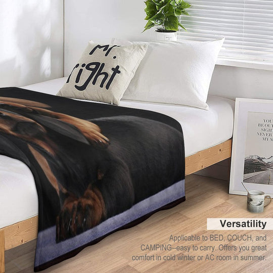 Dachshund Dog Portrait Photo Pupies Durable Throw Blanket